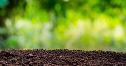 Online-Live-Trainings: Einführung in das Bodenschutzrecht Online-Live-Trainings: Einführung in das Bodenschutzrecht