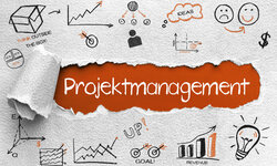 Systemisches Projektmanagement