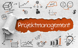 Systemisches Projektmanagement