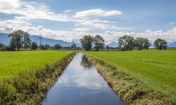 Flusslauf ©stock.adobe.com