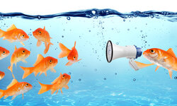 Kampagnen- und Kommunikationstraining für den Klimaschutz – Intensivkurs Goldfische Megafon