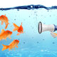 Goldfische Megafon