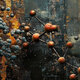 Oxidation