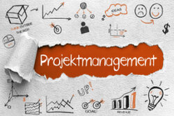 Projektmanagement: Merkmale und Standards