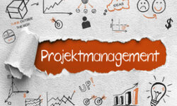 Projektmanagement: Merkmale und Standards