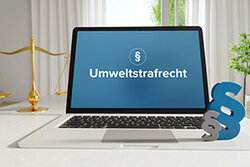 Umweltstrafrecht