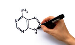 Chemie für den Arbeitsalltag Chemische Verbindung