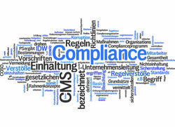 Compliance: Basiswissen