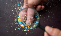 Mikroplastik unter Lupe