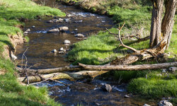 Hydrologische und hydraulische Grundlagen Bachlauf